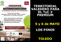 Torneo Territorial Valedero para el TyC 3 Premium